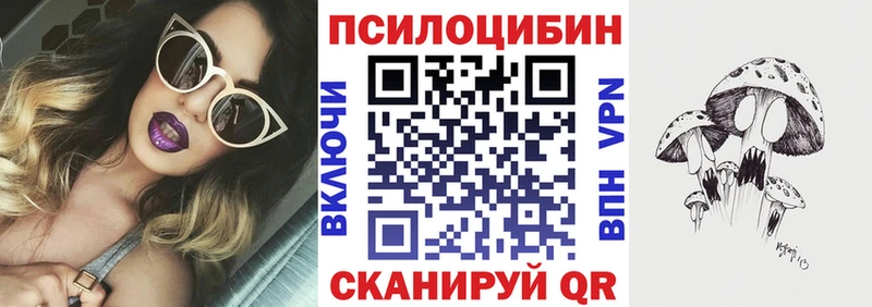Галлюциногенные грибы MAGIC MUSHROOMS  Владимир 
