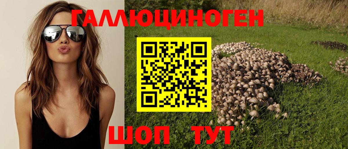 Галлюциногенные грибы Cubensis Владимир