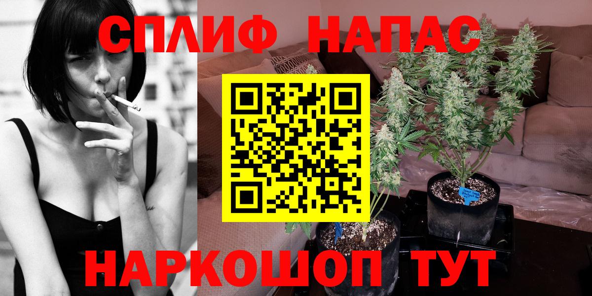 Бошки Шишки конопля  Каннабис VHQ  Шишки марихуана OG Kush  Конопля тримм  Владимир  Вход с VPN 